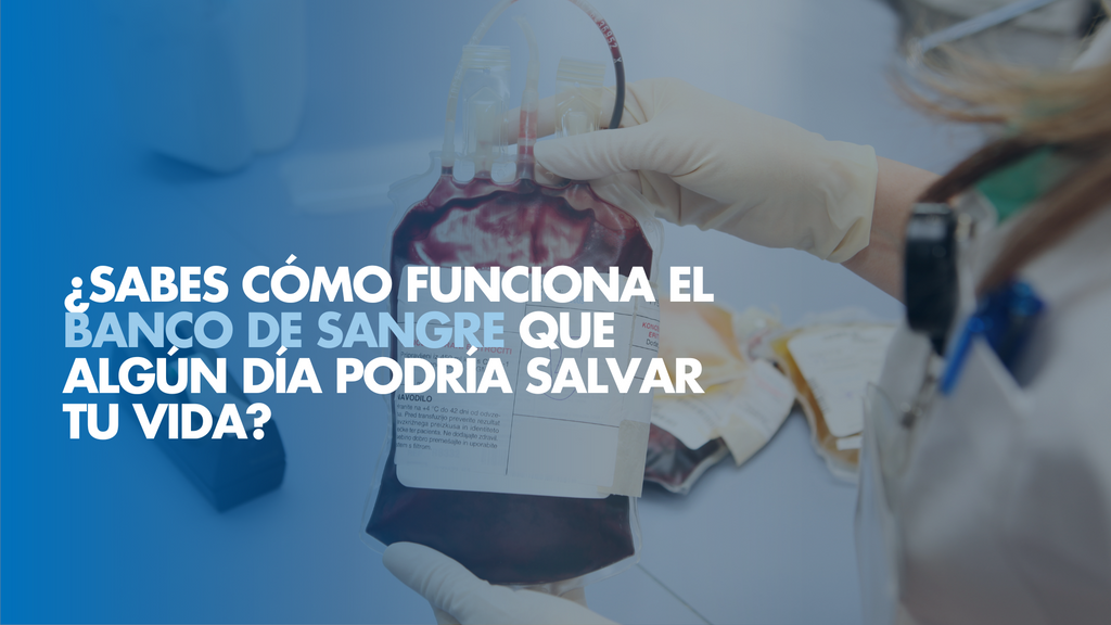 ¿Sabes cómo funciona el banco de sangre que algún día podría salvar tu vida?